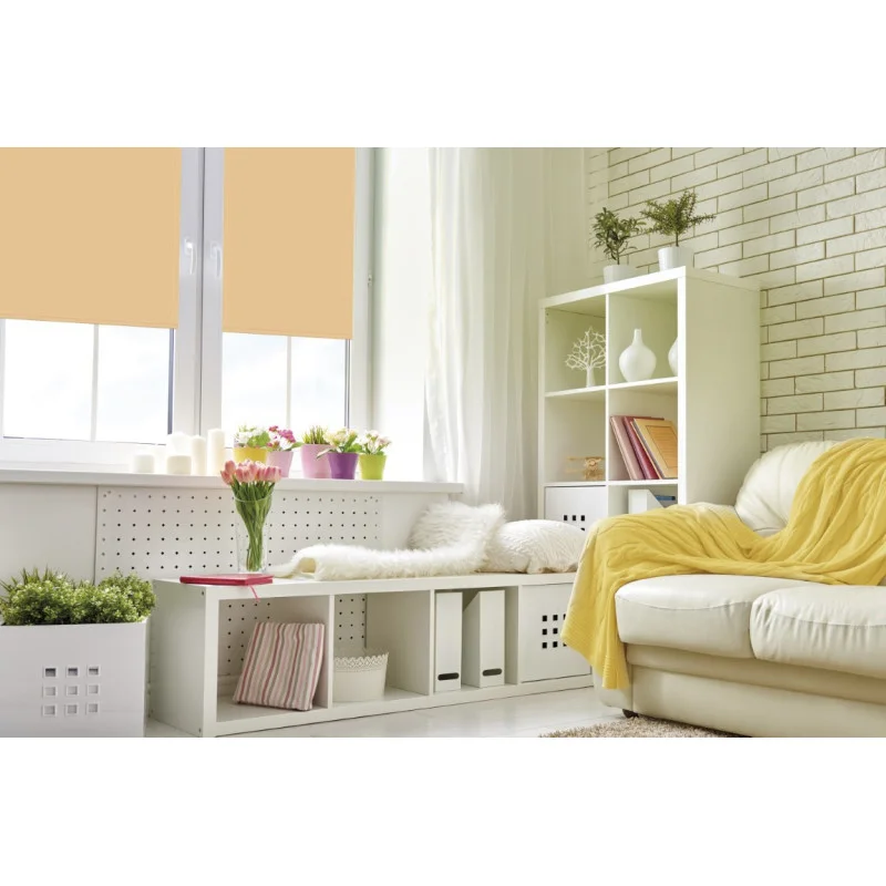 2026_06_02_1156472