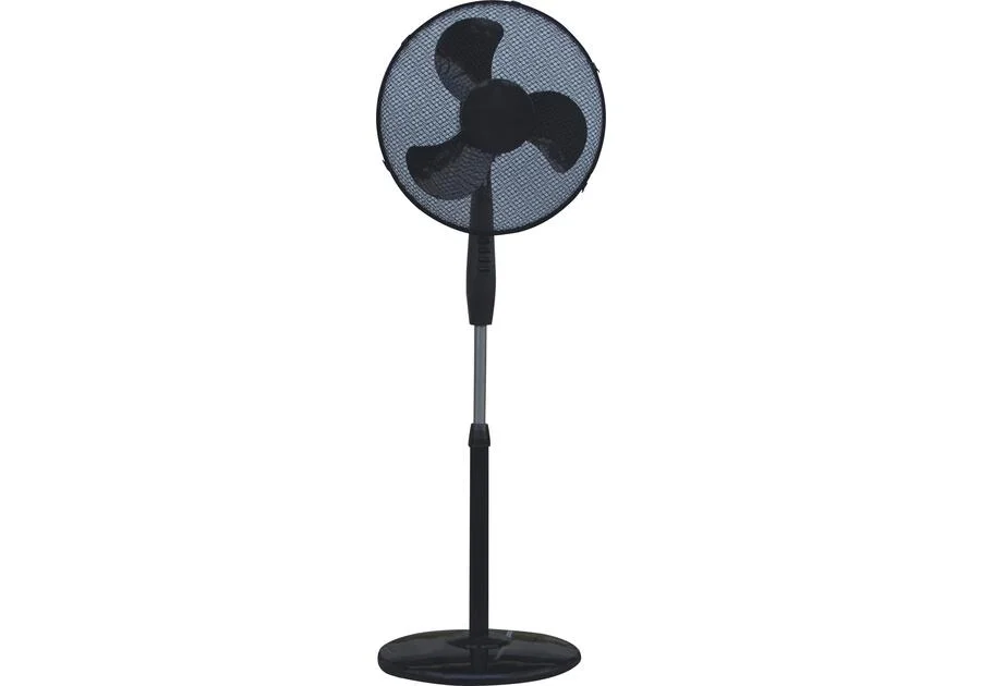 2026_06_02_1203643